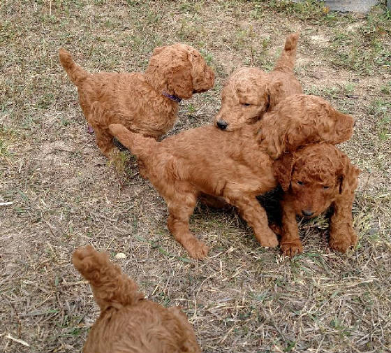 1sttripoutside.jpg