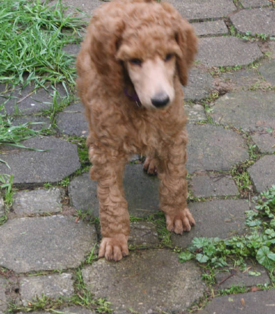 female1026.jpg